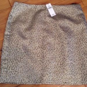 Banana Republic NWT Shiny Lined Skirt